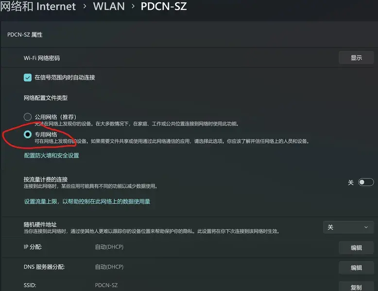 专用网络设置