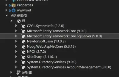 Dotnet,依赖库,VS2022