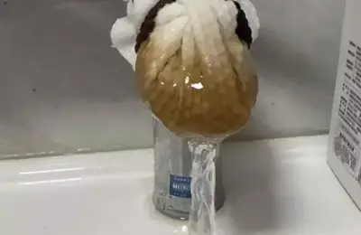 杭州,粪水