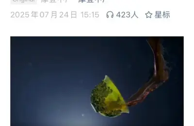 摩登时代,满城尽带黄金甲