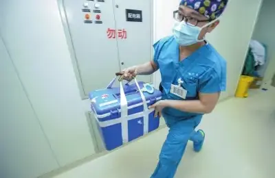 器官移植,完美匹配
