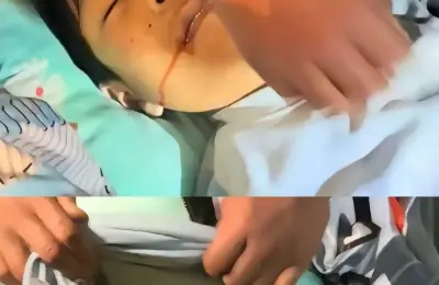 新蔡,13岁男孩,清华园,活摘,器官