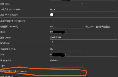 CloudFlare,Xray,V2RayN
